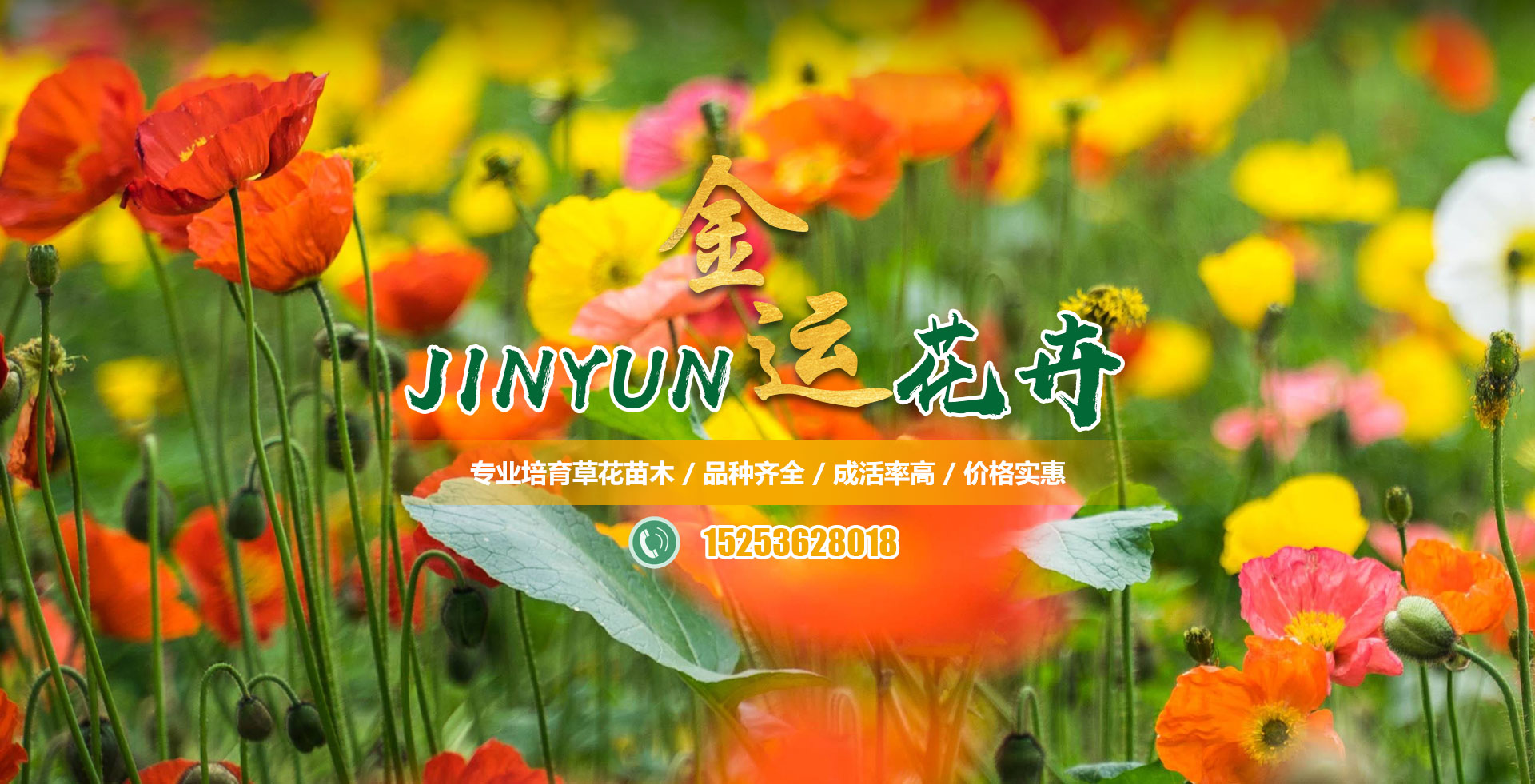 青州市金运花卉苗木专业合作社