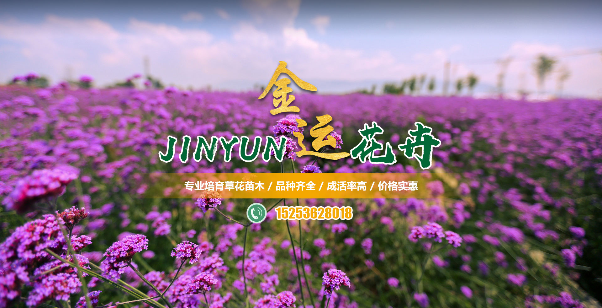 青州市金运花卉苗木专业合作社