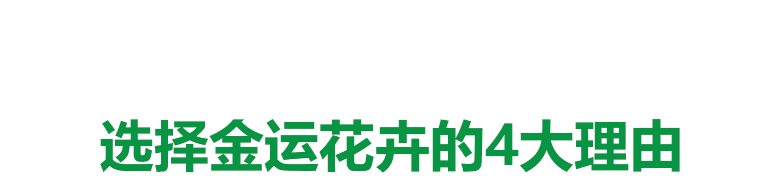 选择金运花卉的理由